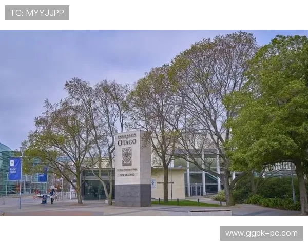 申博：成功申请海外名校的实用经验与实战技巧